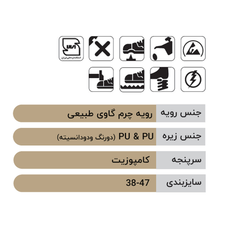 کفش ایمنی مدل SAC