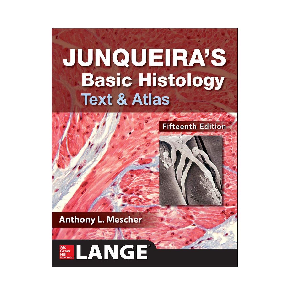 قیمت و خرید کتاب Junqueira’s Basic Histology Text And Atlas اثر Anthony ...