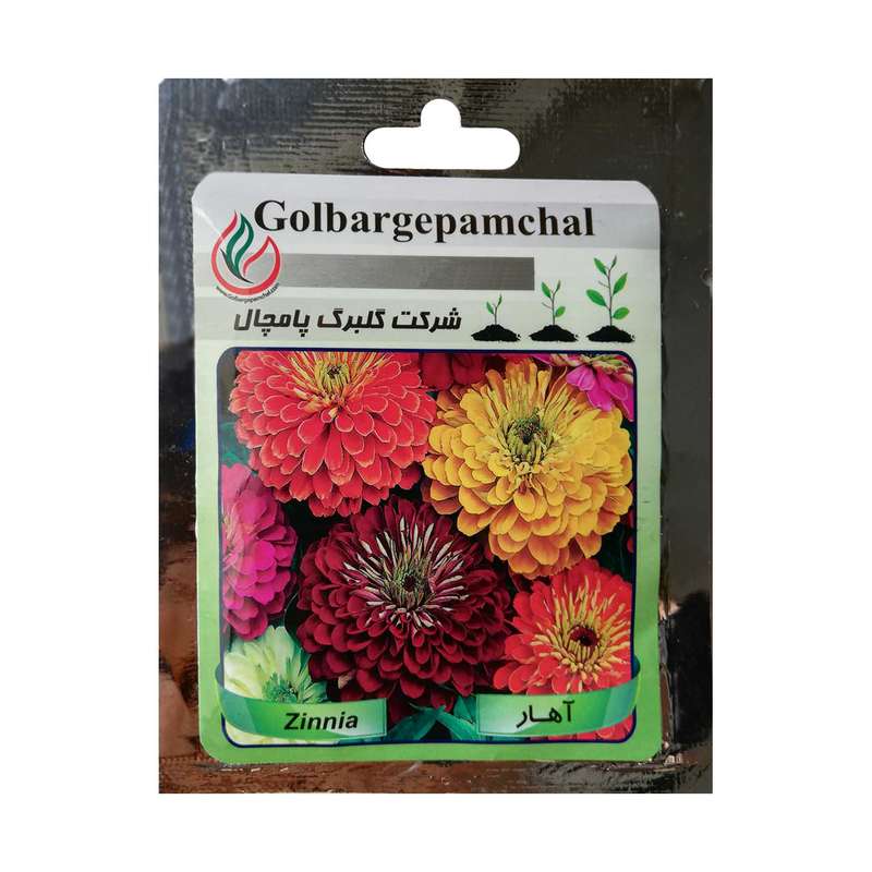 بذر گل آهار گلبرگ پامچال مدل GP04