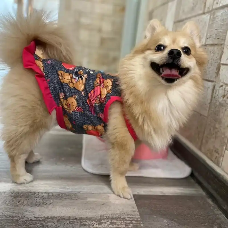 لباس سگ و گربه مدل عروسکی سایز XL