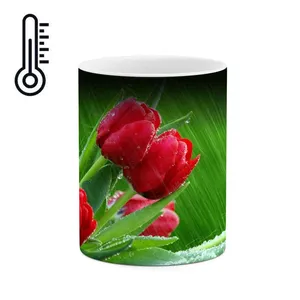 ماگ حرارتی کاکتی مدل گل کد mgh11991
