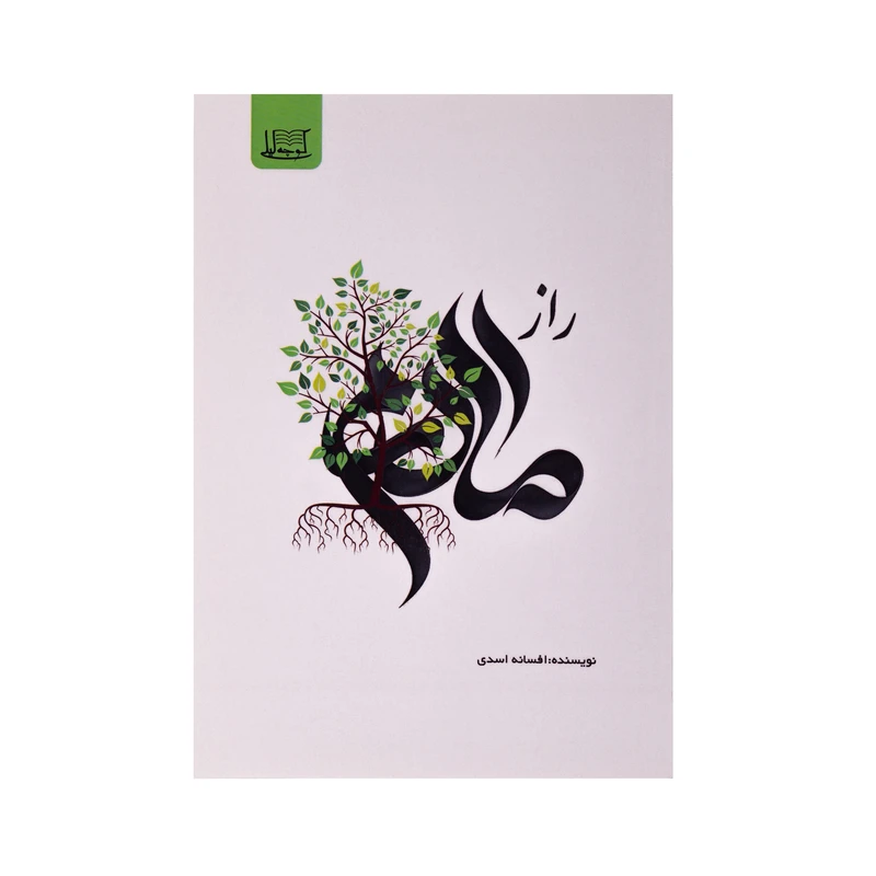کتاب راز مادرم اثر افسانه اسدی نشر کوچه لیلی