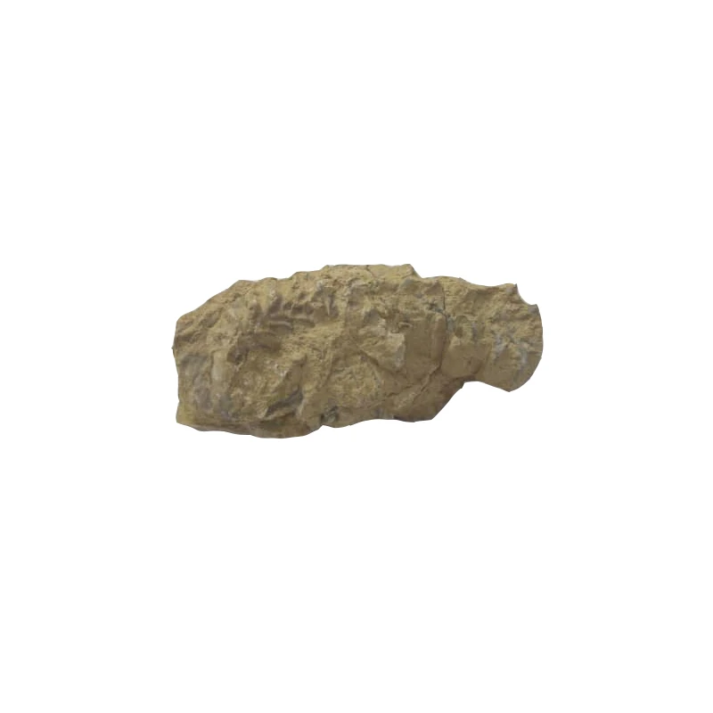 سنگ راف آمیتیست مدل فسیلی