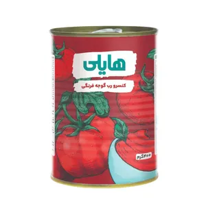 رب گوجه فرنگی هایلی - 400 گرم
