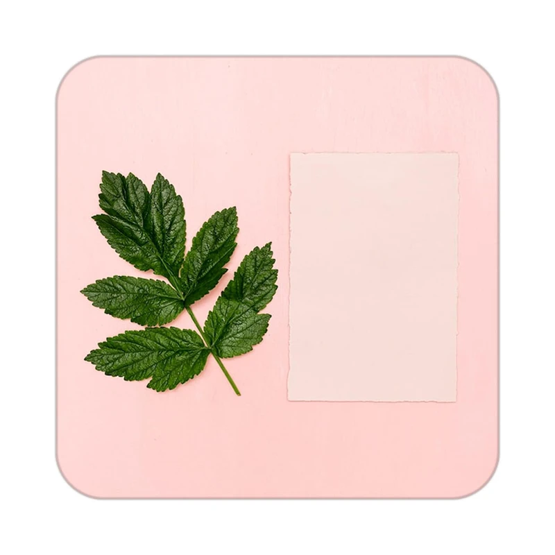 زیر لیوانی کاکتی طرح گل مدل mp19156