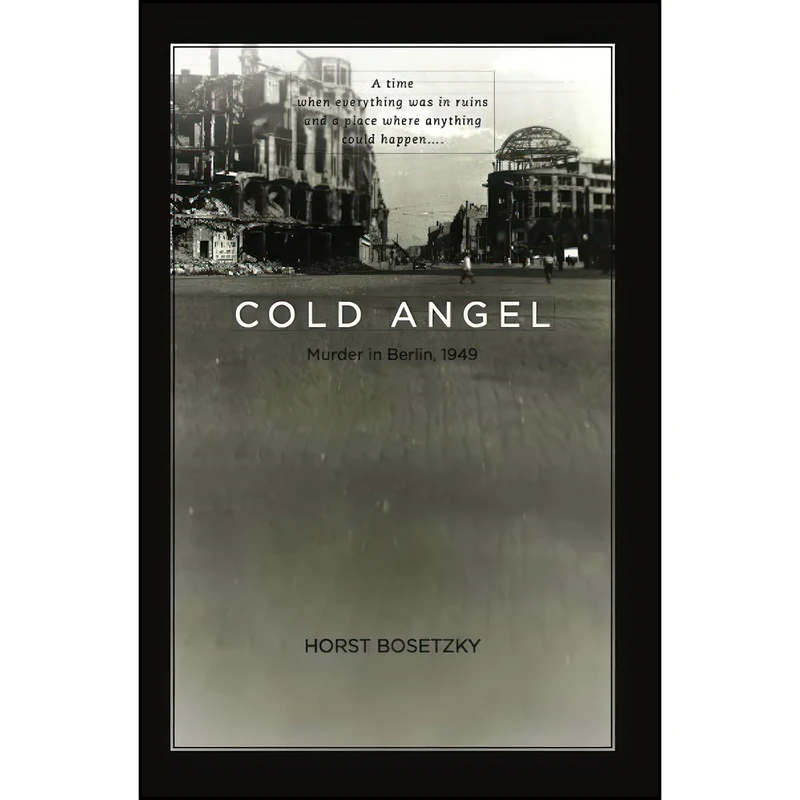 کتاب Cold Angel اثر جمعي از نويسندگان انتشارات Enigma Books