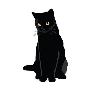 نقد و بررسی برچسب لپ تاپ طرح گربه کد 848 توسط خریداران