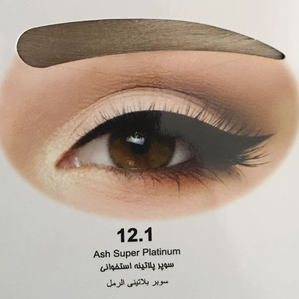 کیت رنگ ابرو آلما شماره 12.1 حجم 15 میلی لیتر رنگ سوپر پلاتینه استخوانی