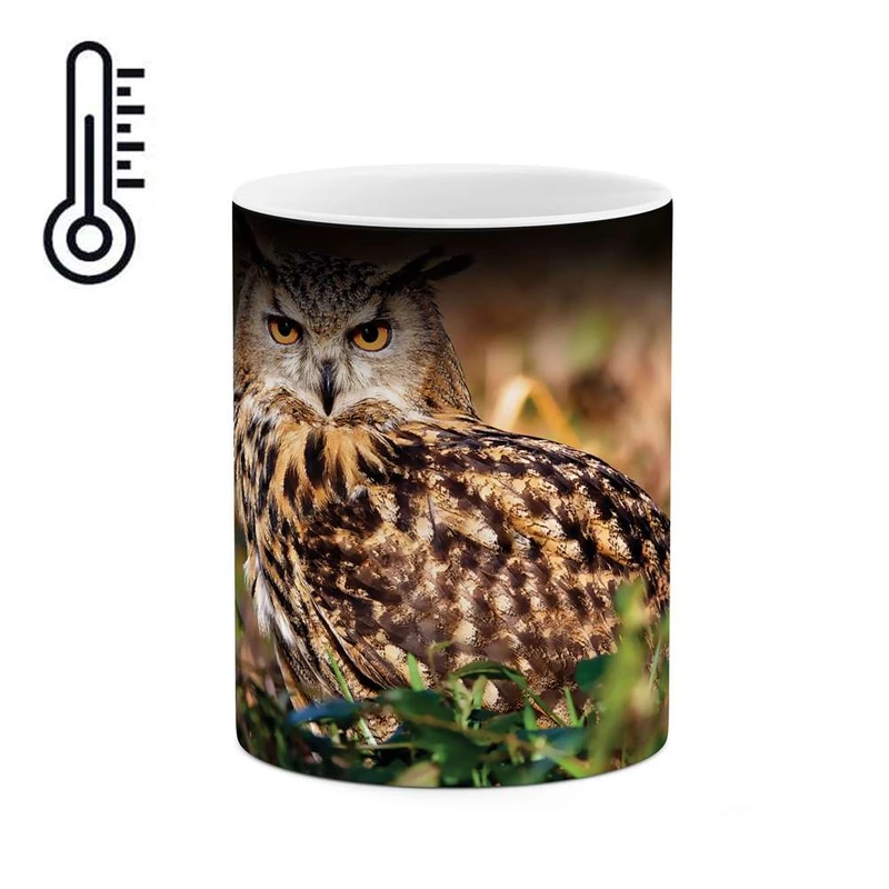 ماگ حرارتی کاکتی مدل جغد کد mgh10230