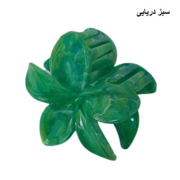 کلیپس مو زنانه 2
