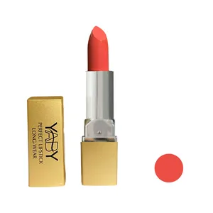 رژ لب جامد یابی شماره y-10