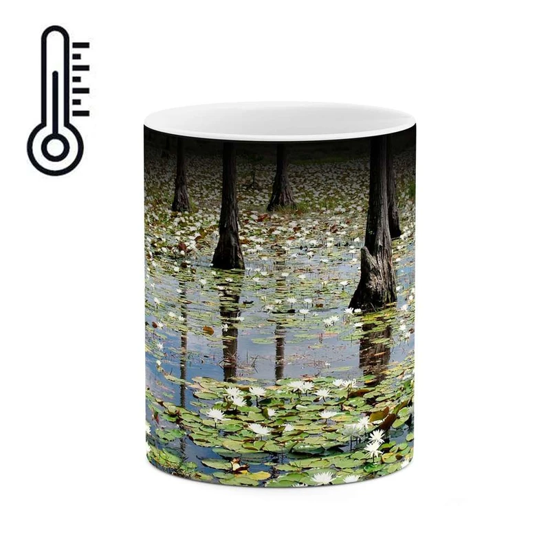 ماگ حرارتی کاکتی مدل تالاب کد mgh10707