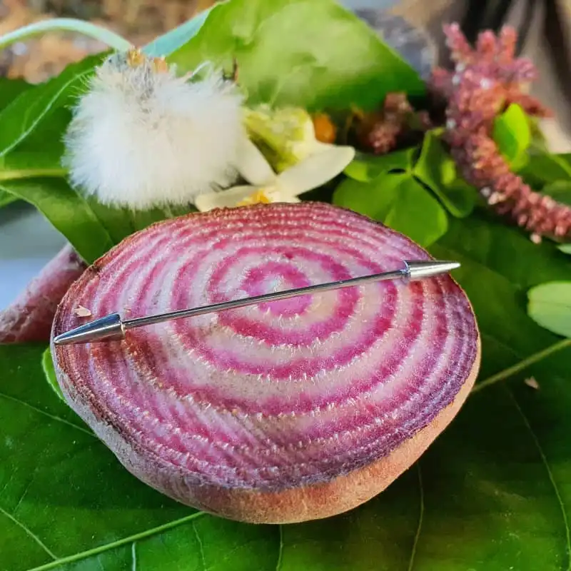 پیرسینگ گوش زنانه پایتخت مدل PS300