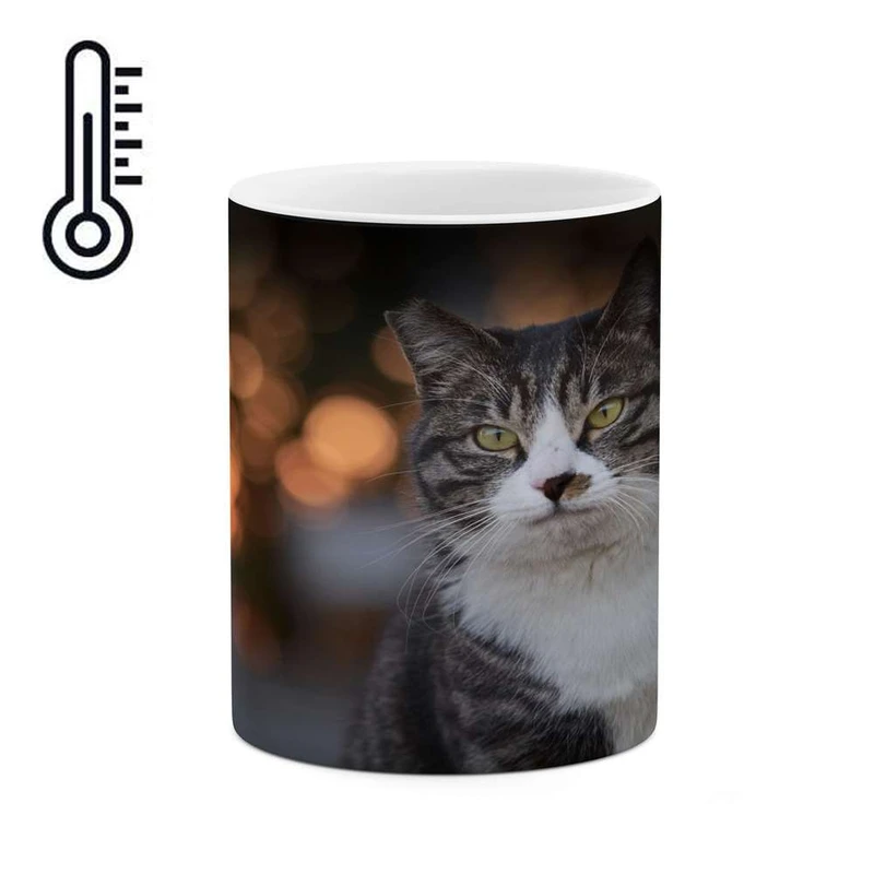 ماگ حرارتی کاکتی مدل گربه کد mgh16230