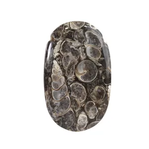 سنگ فسیل تورتیلا اقلیمه کد VB491