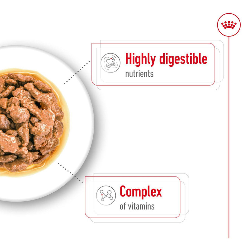 پوچ سگ رویال کنین مدل Mini وزن 85 گرم بسته 12 عددی