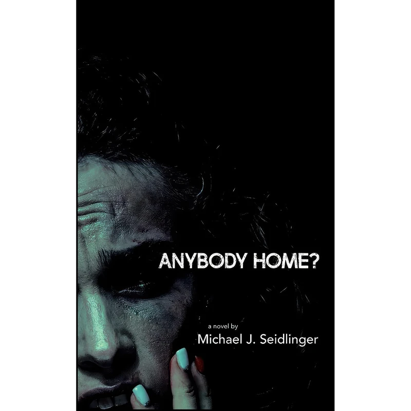 کتاب Anybody Home? اثر Michael J Seidlinger انتشارات CLASH Books