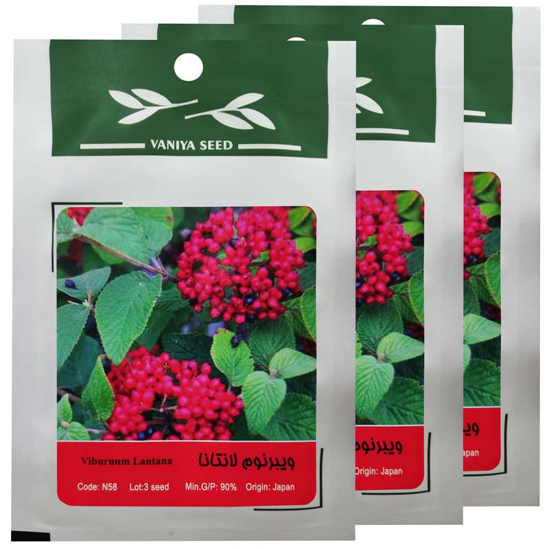 بذر بنسای ویبرنوم لانتانا وانیا سید مدل T53 مجموعه 3 عددی 
