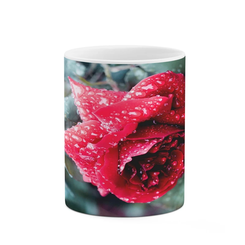 ماگ کاکتی مدل گل کد mgh17235