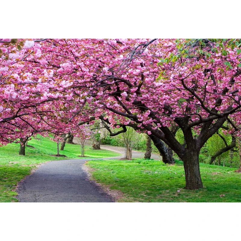 تابلو شاسی مدل باغ راه و درخت و گل T7112