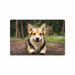 MAHOOT Dog-2 Cover Sticker for Samsung Galaxy Tab S3 9.7 2017 T825