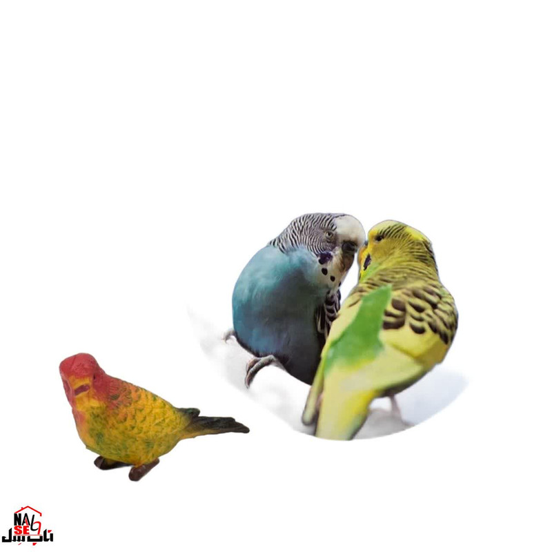 فیگور ناب سل مدل مرغ عشق کد BUDGERIGAR NAAB007 ارتفاع 3 سانتی متر