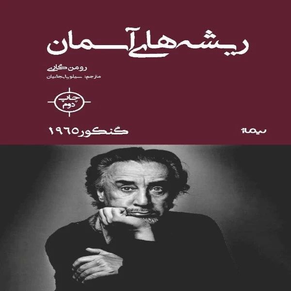 کتاب ریشه های آسمان اثر رومن گاری نشر نیماژ
