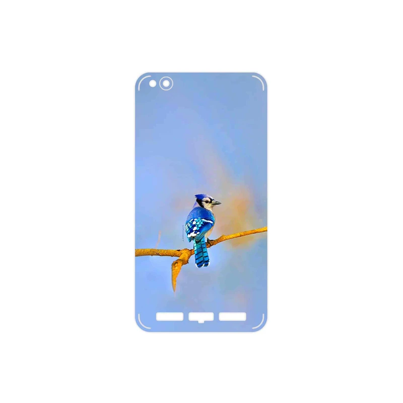 برچسب پوششی ماهوت مدل Cyanocitta cristata مناسب برای گوشی موبایل شیائومی Redmi 5A