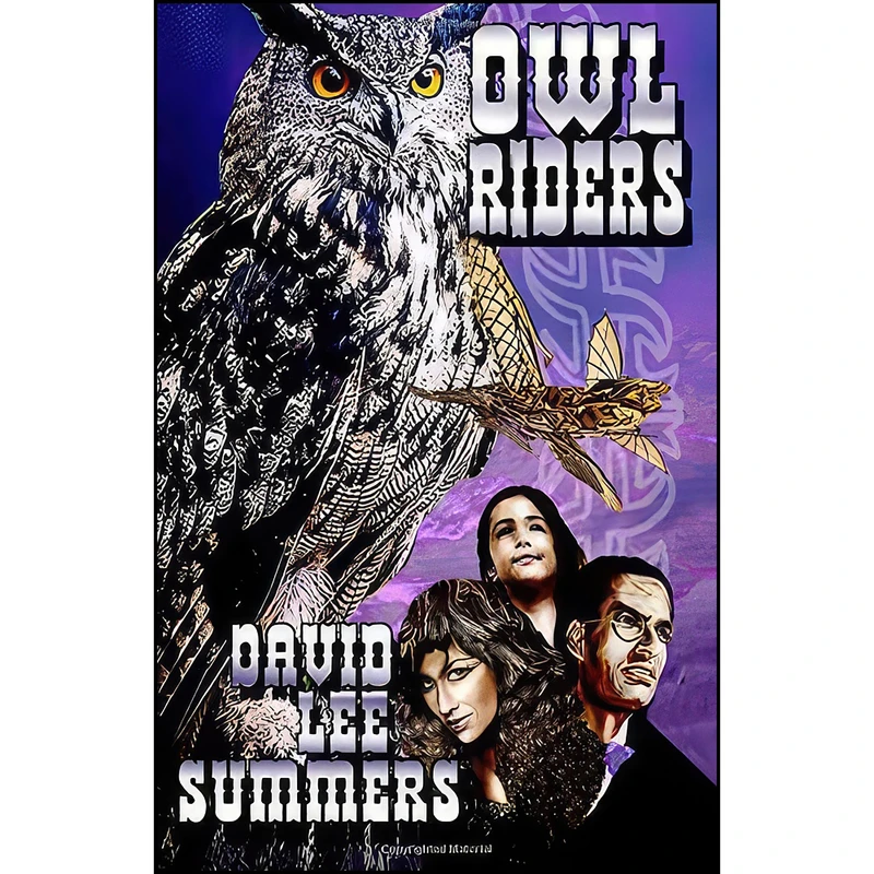 کتاب Owl Riders  اثر David Lee Summers انتشارات تازه ها