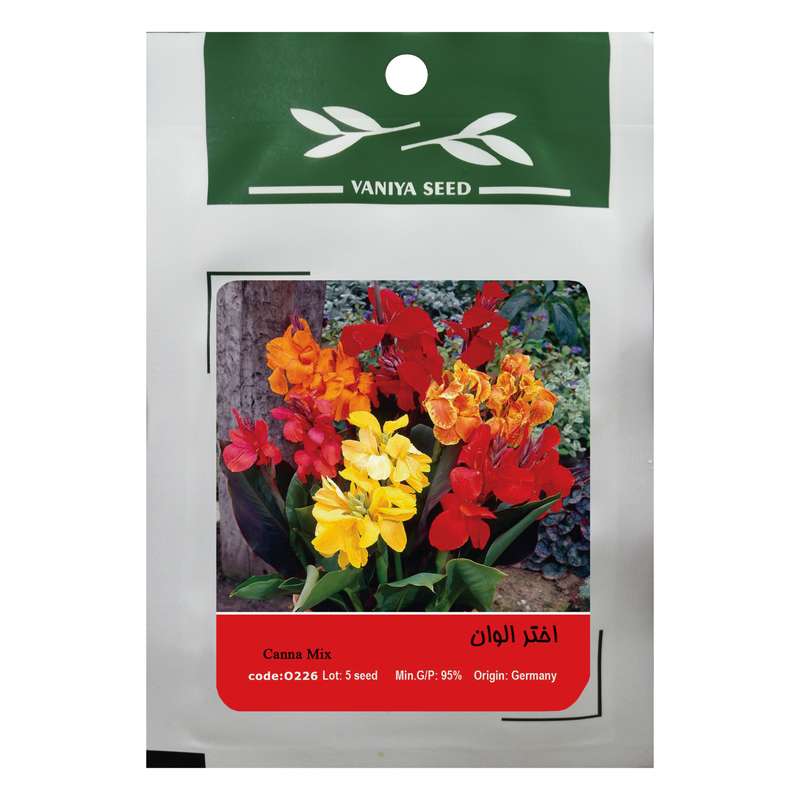 بذر گل اختر الوان وانیا سید مدل O226