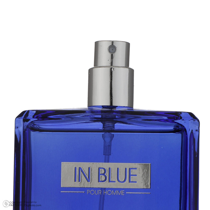 ادو پرفیوم مردانه رودیر مدل IN BLUE حجم 100 میلی لیتر ادو پرفیوم مردانه رودیر مدل IN BLUE حجم 100 میلی لیتر