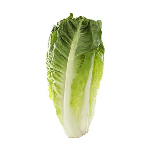 کاهو ارگانیک رضوانی - 1 کیلوگرم