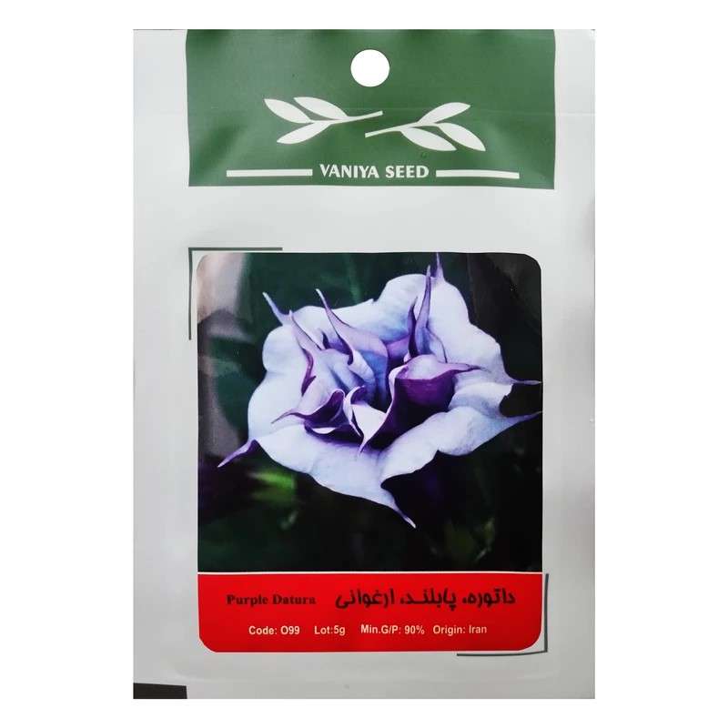 بذر گل داتوره پابلند ارغوانی وانیا سید مدل BA1516