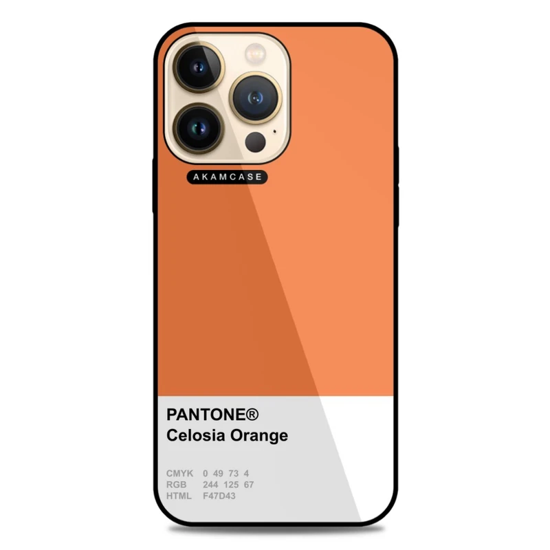 کاور آکام مدل AMC-WA13PRO-PANTONE-3 مناسب برای گوشی موبایل اپل iPhone 13 Pro