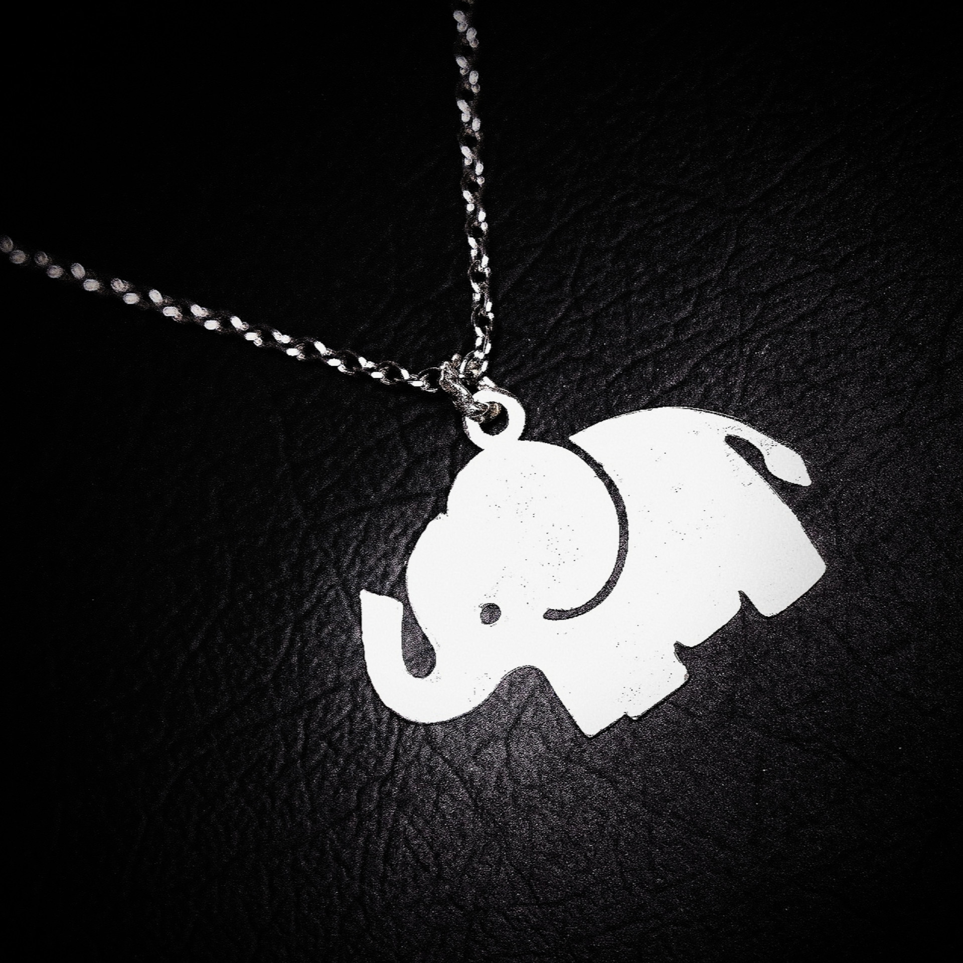 گردنبند نقره زنانه مدل فیل کد 08