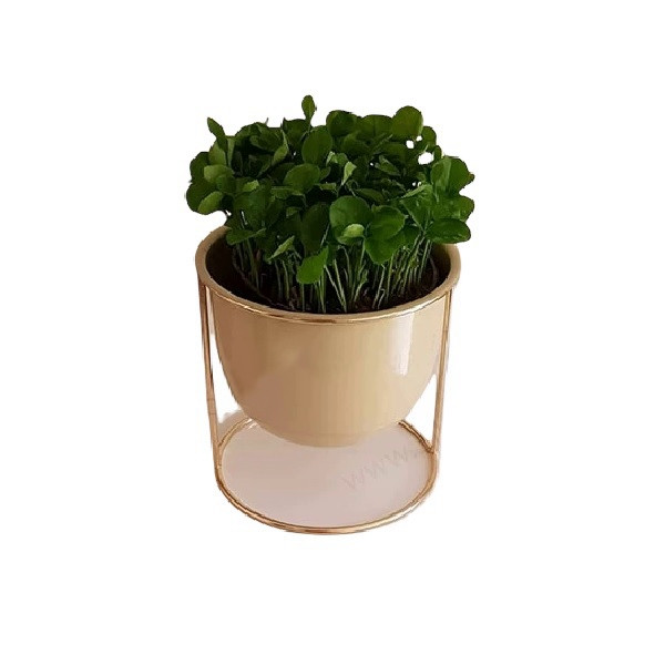 گیاه طبیعی سبزه نارنج مدل فلزی کد 2