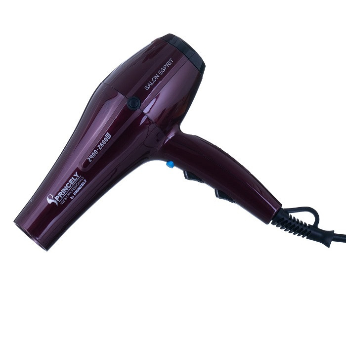 سشوار پرینسلی مدل pr 250 سشوار پرینسلی مدل pr 250