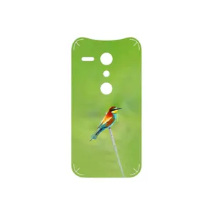 MAHOOT European bee-eater Cover Sticker for Motorola Moto G