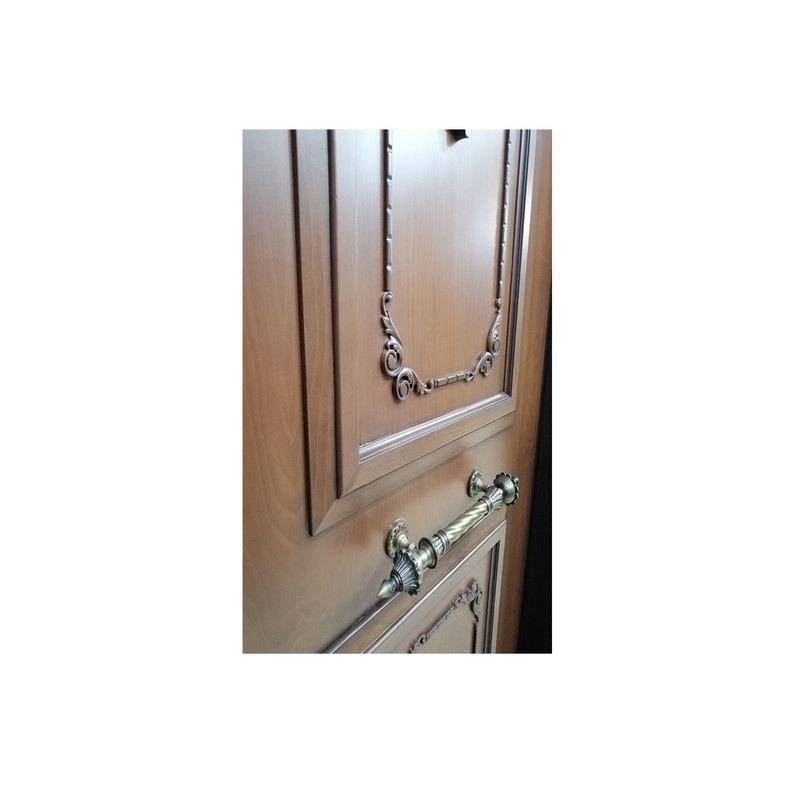 در ضد سرقت مدل goldar