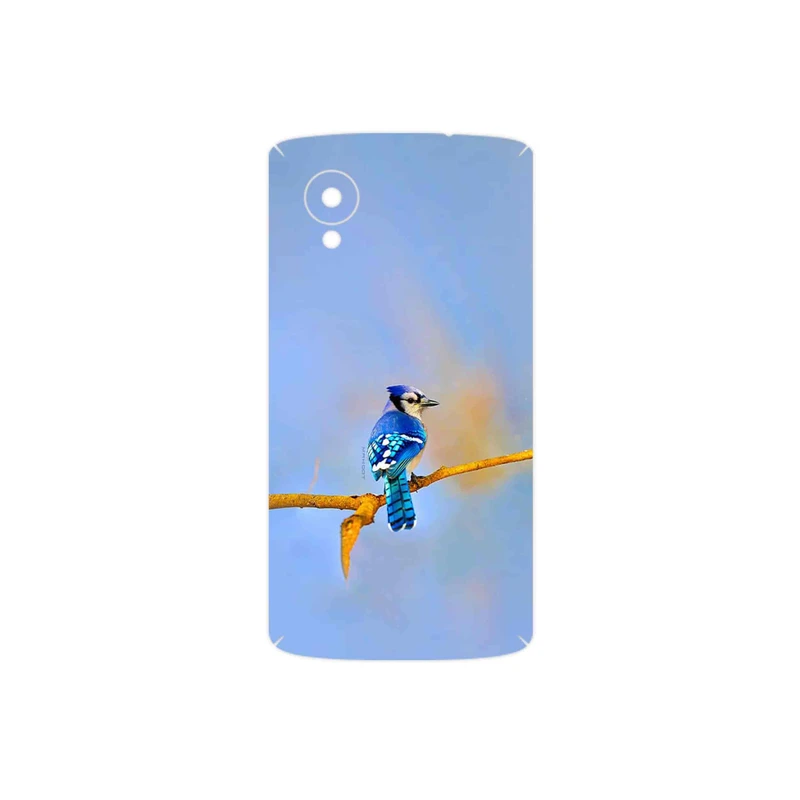 برچسب پوششی ماهوت مدل Cyanocitta cristata مناسب برای گوشی موبایل گوگل Nexus 5