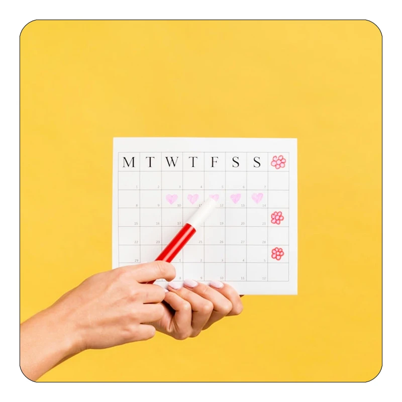 مگنت کاکتی طرح گل مدل mp17758