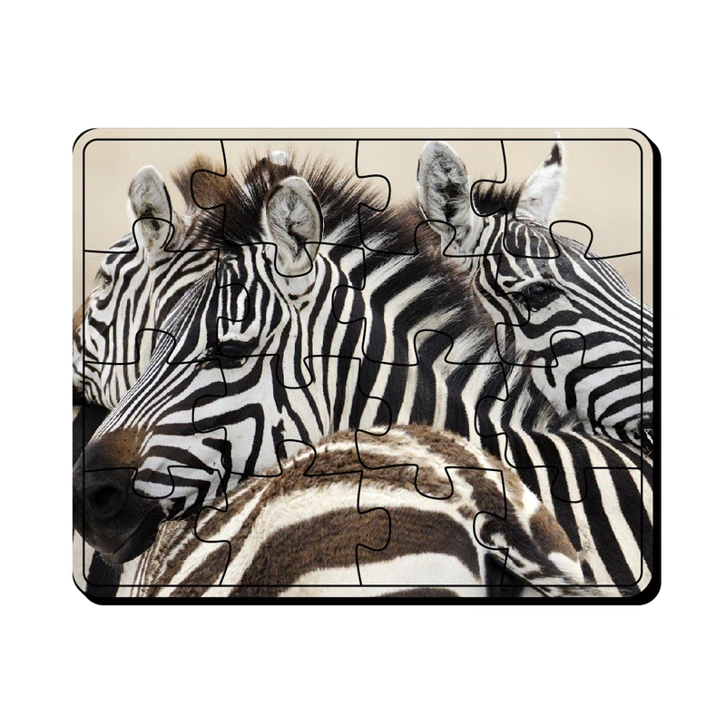 پازل 16 تکه مدل خانواده گورخر ها