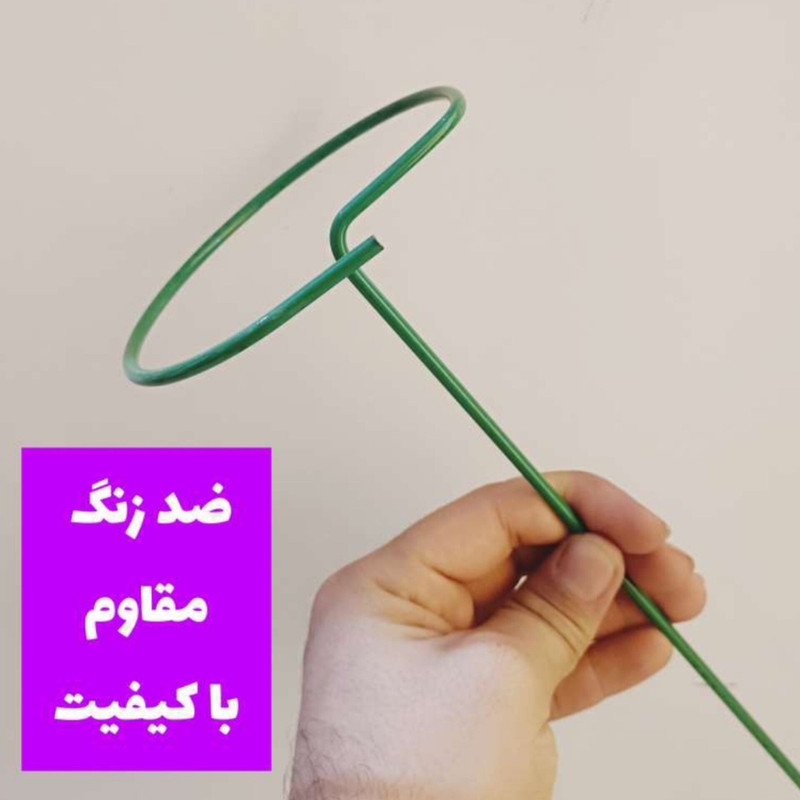 قیم نگهدارنده گیاه پتوس مدلa-02 فلزی بسته 10 عددی