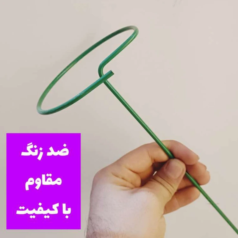 عکس شماره 3