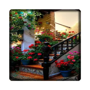 کاشی مبین ایده مدل خونه kh10 کد 1667