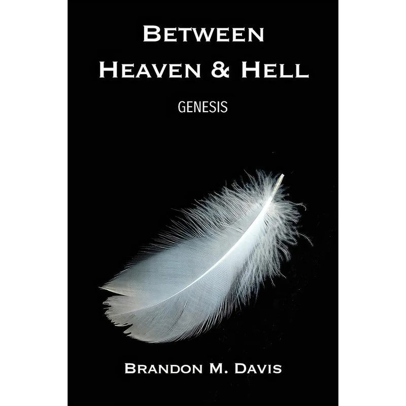 کتاب Between Heaven and Hell اثر Brandon M. Davis انتشارات Dorrance Pub Co