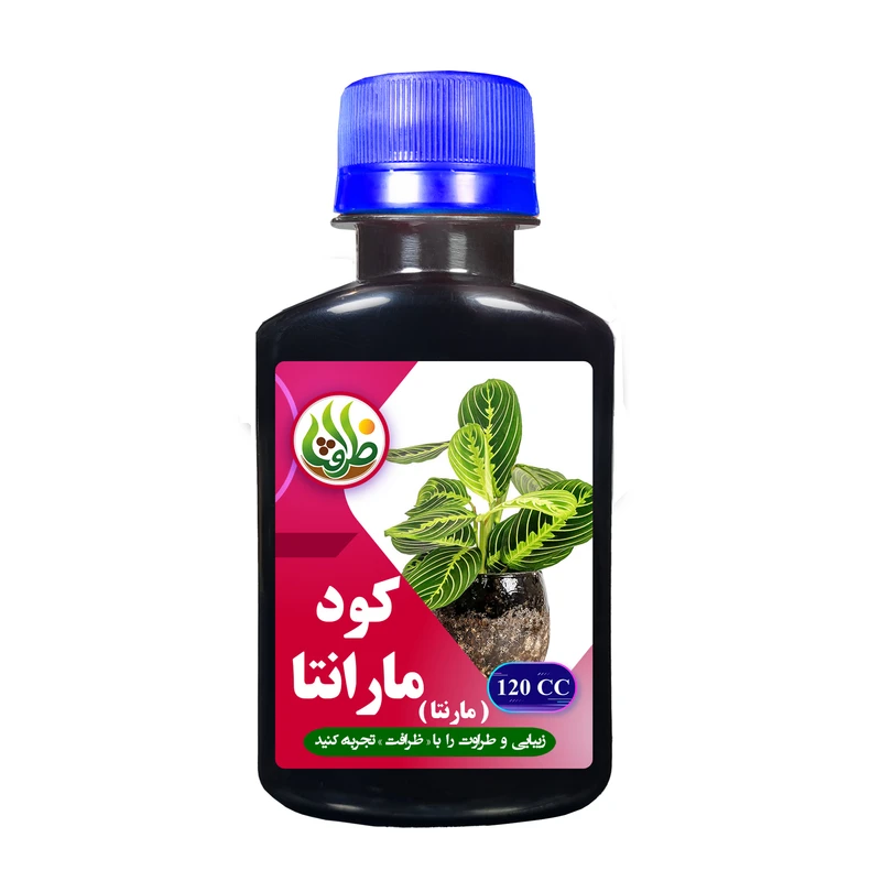 کود مارانتا ظرافت مدل KO19170 حجم 120 میلی لیتر