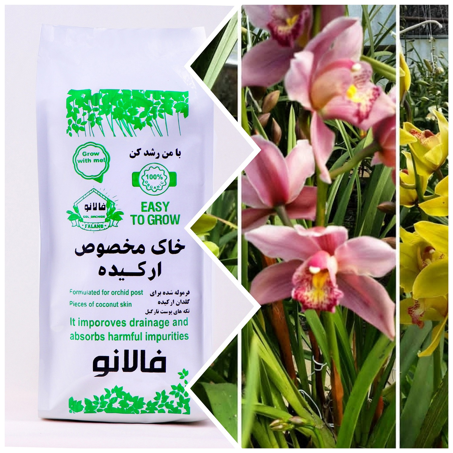خاک ارکیده فالانو کد 44 حجم 3 لیتر