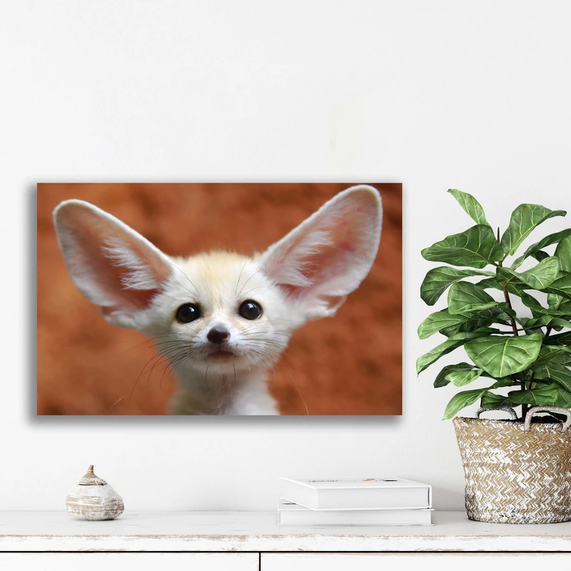 تابلو شاسی آتریسا مدل  حیوانات animal