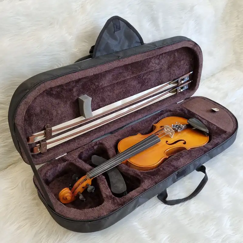 هاردکیس ویولن مدل HBBR